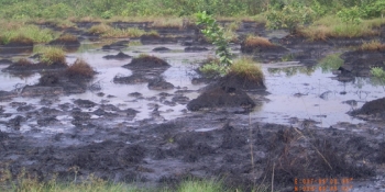 Int&rsquo;l Oil Firms Insensitive To Plight Of Oil Producing Communities &ndash; Gov Dickson
